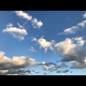 Meet your Posher, Orin